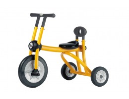 Pilot 300 Tricycle