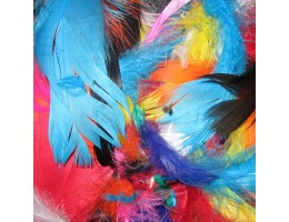 Assorted Color Feathers