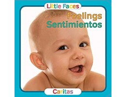Little Faces - Bilingual: Feelings/Sentimientos