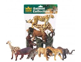 African Animal Collection 