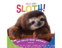 Hello Baby Sloth