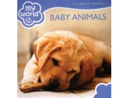 My World: Baby Animals