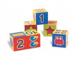 Number and Shape Puzzle Blocks