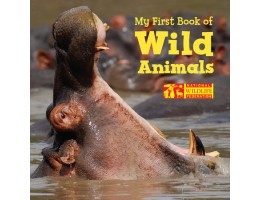 My First Book of Wild Animals (National Wildlife Federation)