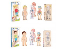 Your Body Puzzles (Set of 2)