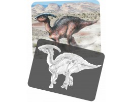 Discover Dinosaurs Picture Cards and X-Ray