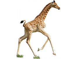 I AM Lil’ Giraffe Puzzle (100pc)