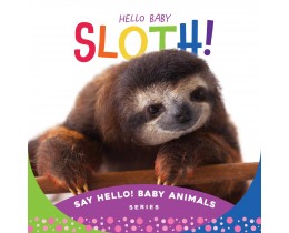 Hello Baby Sloth