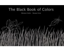 The Black Book of Colours, Braille 