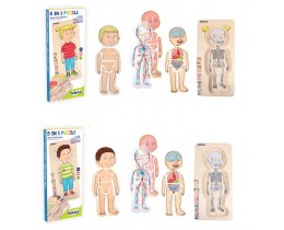 Your Body Puzzles (Set of 2)