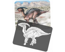 Discover Dinosaurs Picture Cards and X-Ray